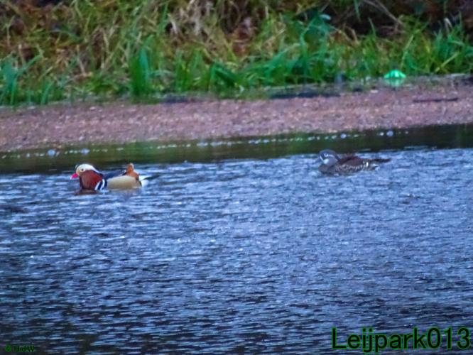 Leijpark013