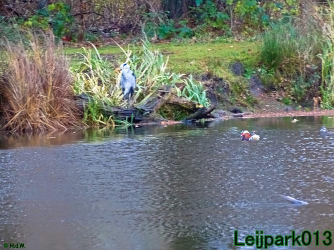 Leijpark013