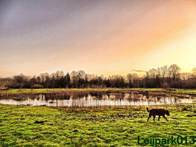 Leijpark013
