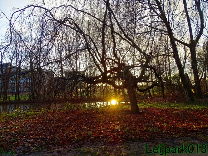Leijpark013