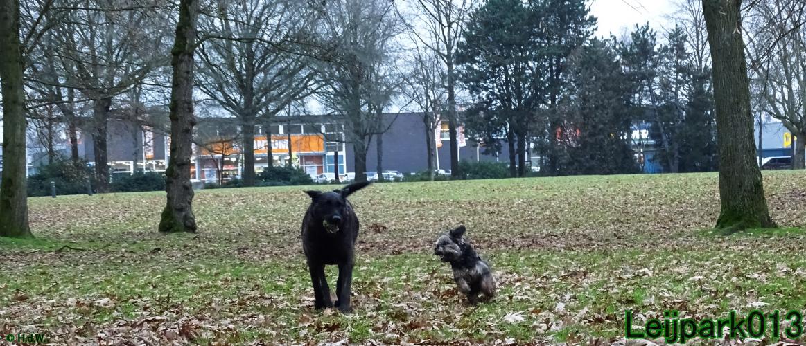 #Leijpark013