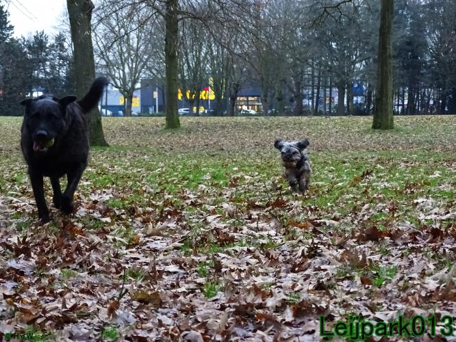 #Leijpark013