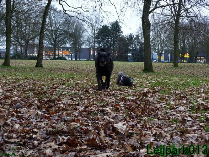 #Leijpark013