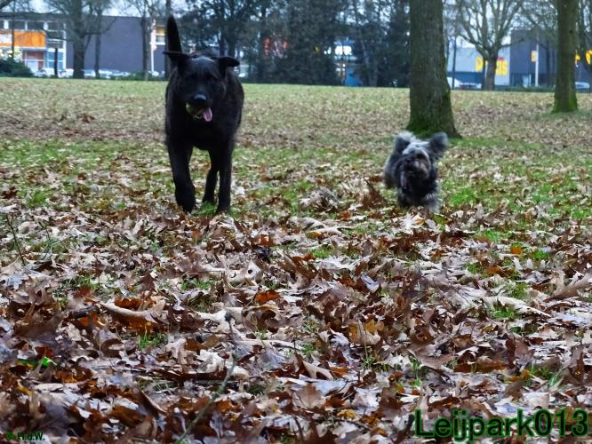 #Leijpark013