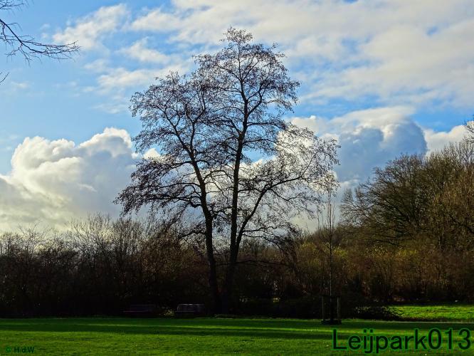 #leijpark013