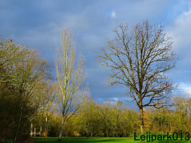 #leijpark013