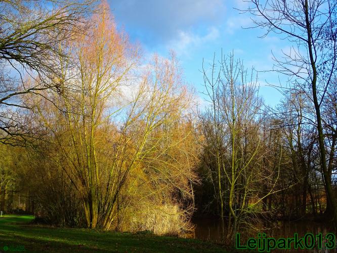 #leijpark013