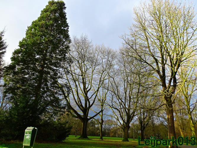 #leijpark013