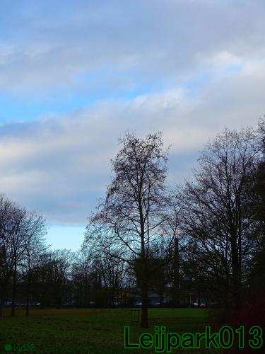 #leijpark013