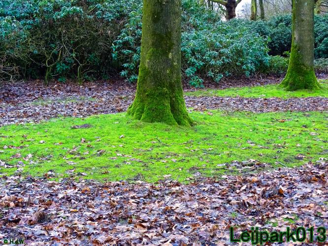 #leijpark013