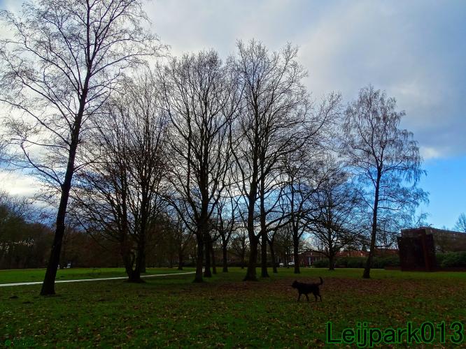 #leijpark013
