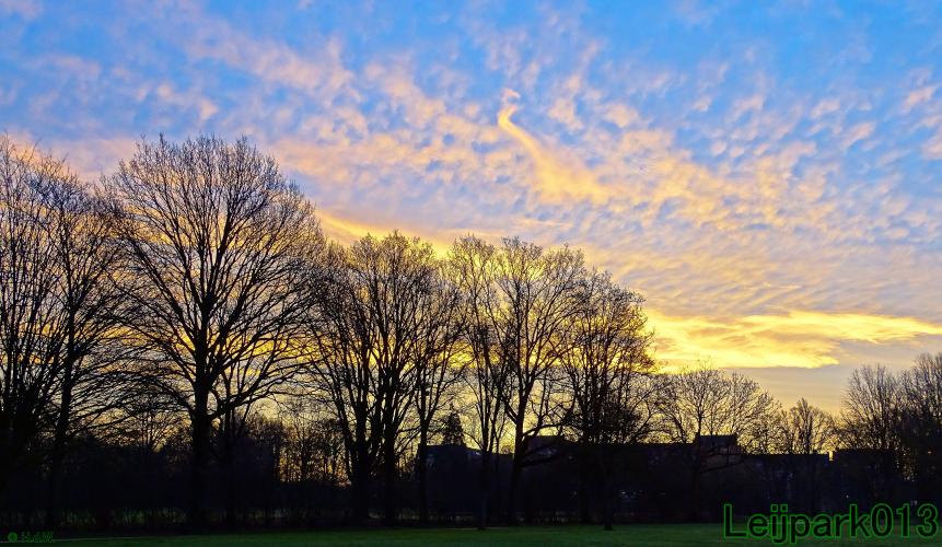 #leijpark013