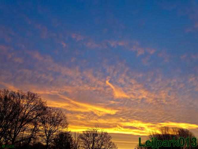 #leijpark013