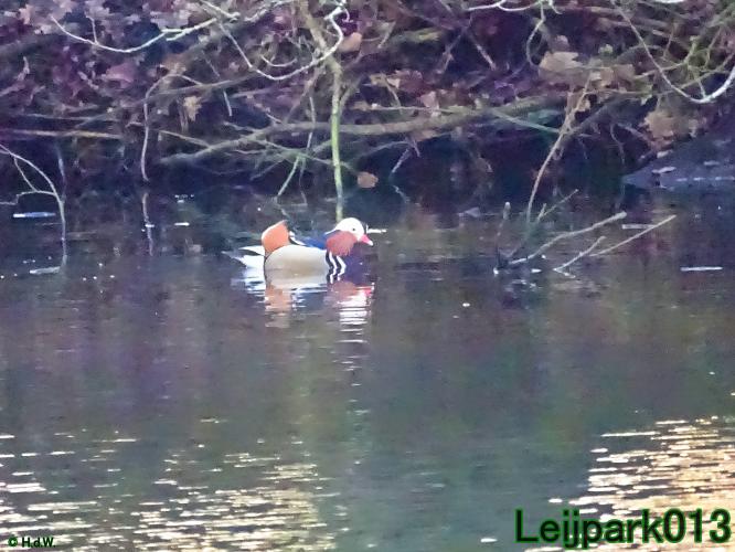 #leijpark013
