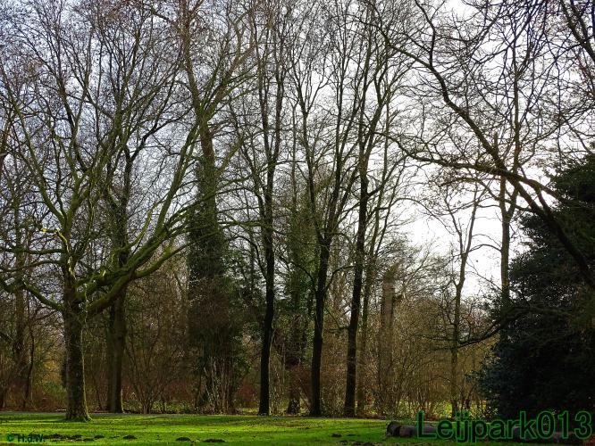 #leijpark013
