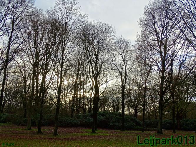 #leijpark013