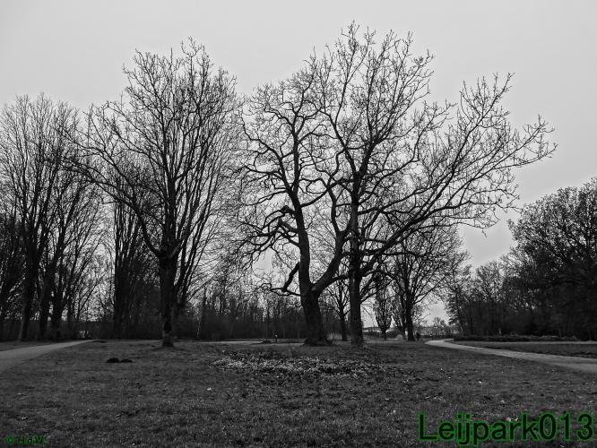 #leijpark013