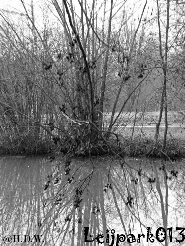 #leijpark013