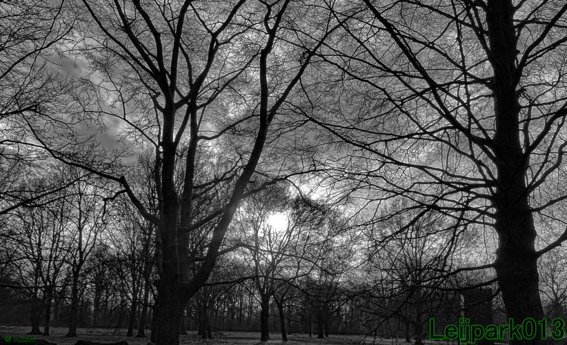 #leijpark013