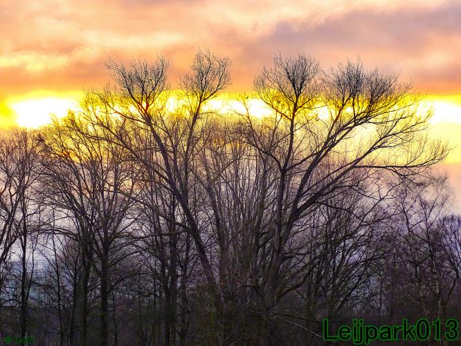 #leijpark013