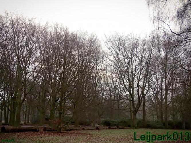#leijpark013