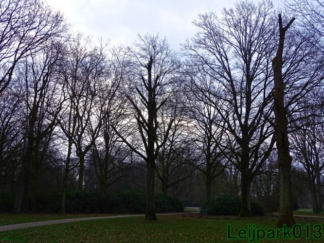 #leijpark013