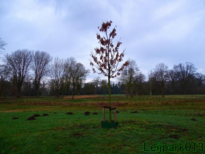 #leijpark013