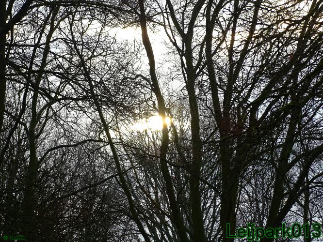 #leijpark013