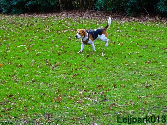 Leijpark013