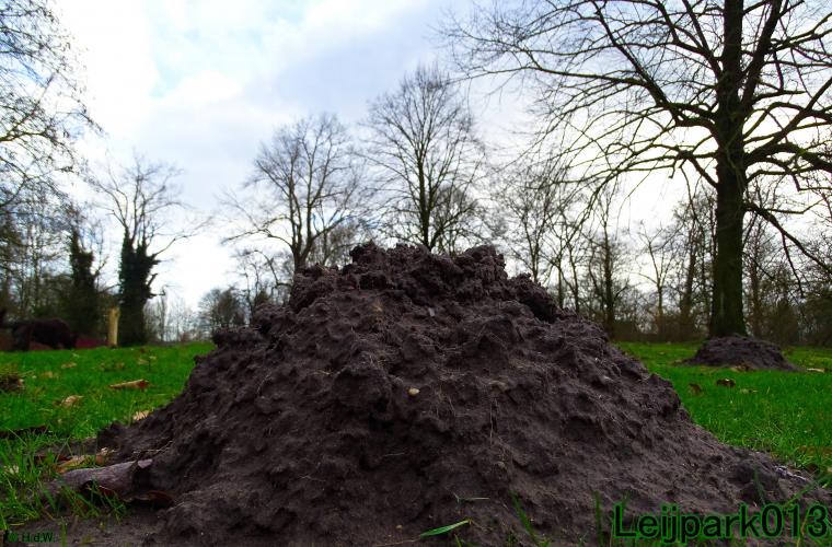 Leijpark013