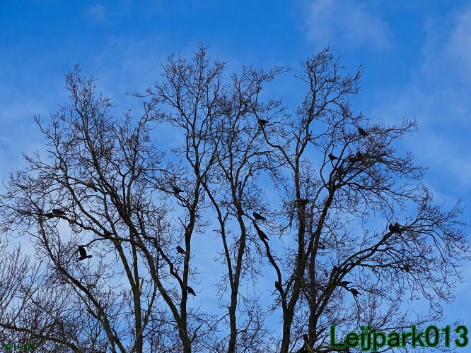 leijpark013