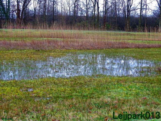 Leijpark013