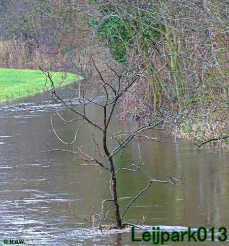Leijpark013