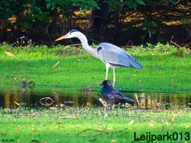 Leijpark013