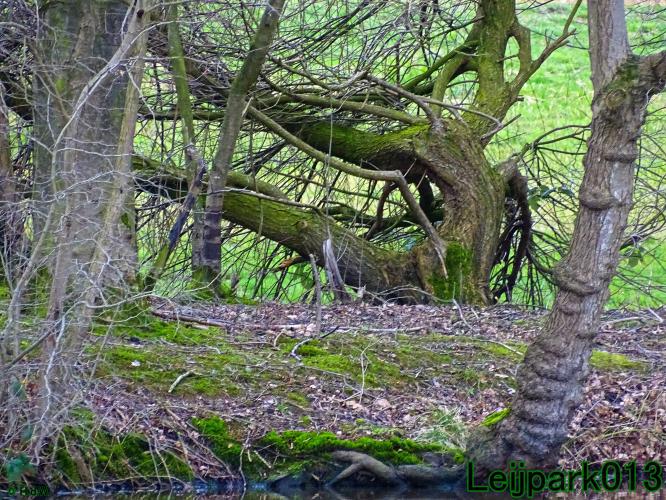 Leijpark013