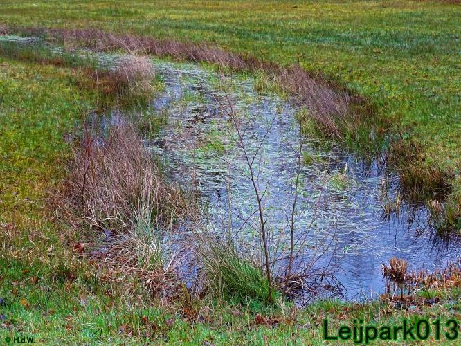 Leijpark013