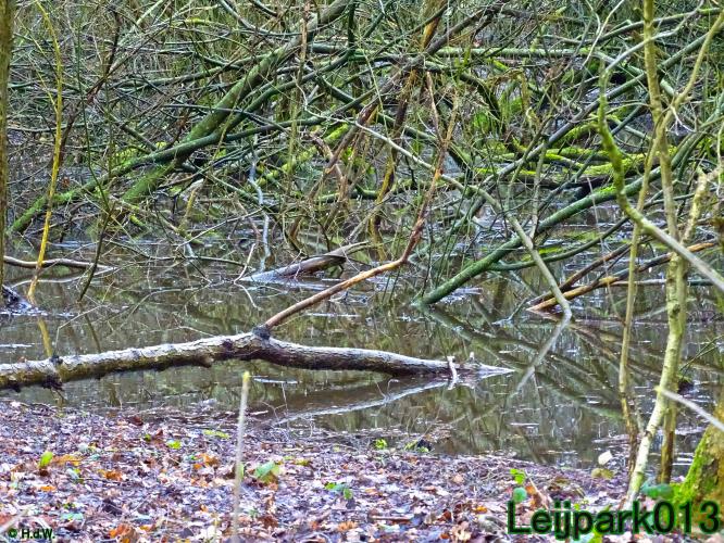 Leijpark013