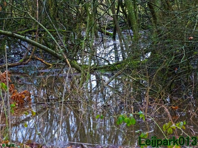 Leijpark013