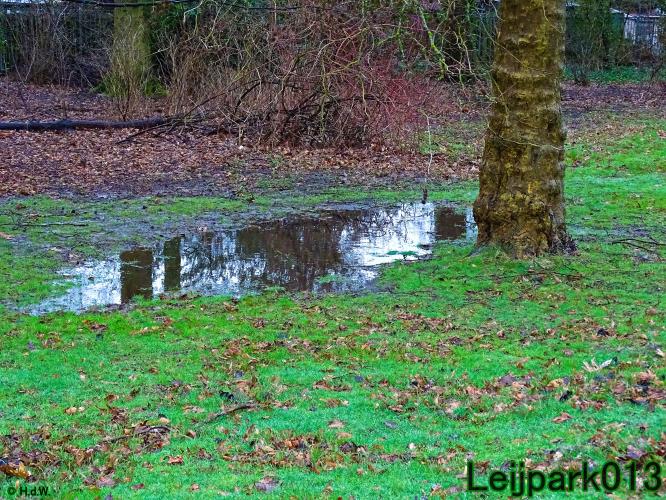 Leijpark013