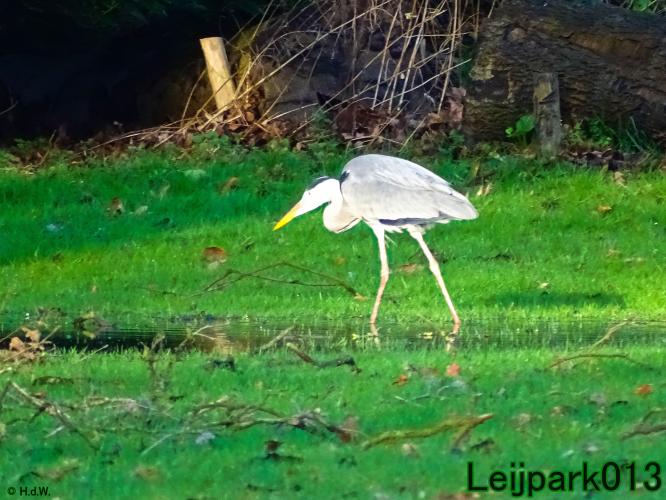 Leijpark013
