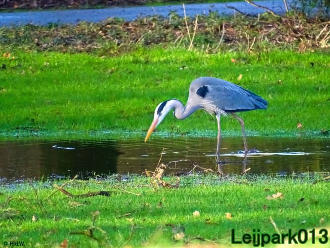 Leijpark013
