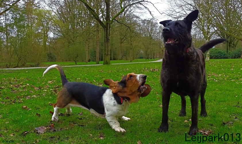 Leijpark013