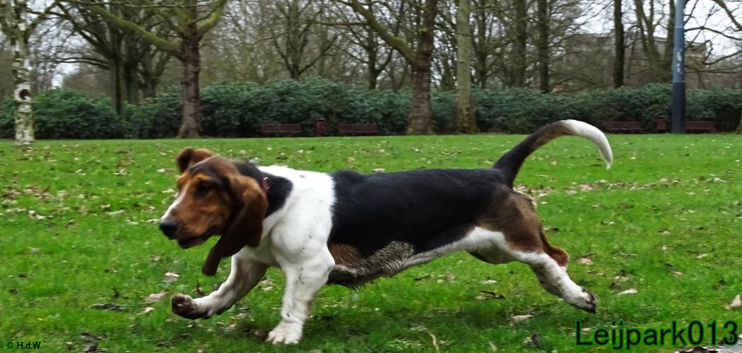 Leijpark013