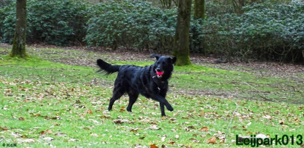 Leijpark013