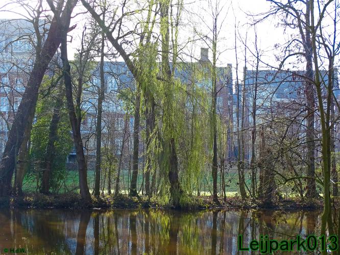 YoorsCoronaPositiveChallenge