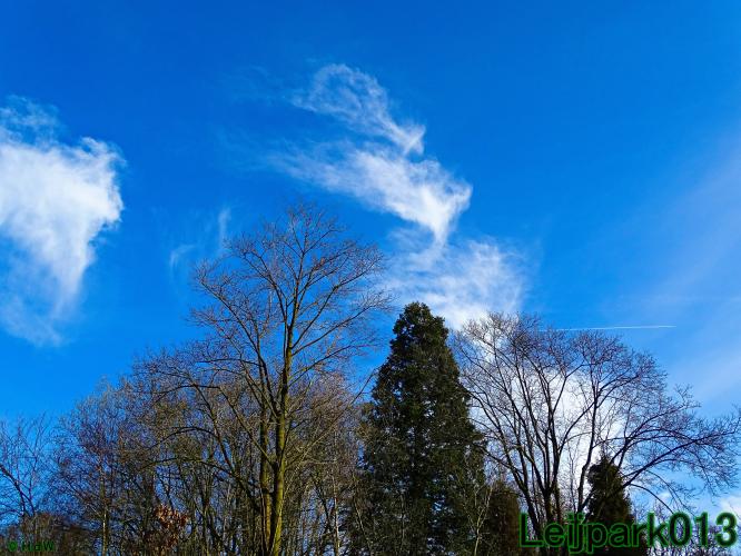 YoorsCoronaPositiveChallenge