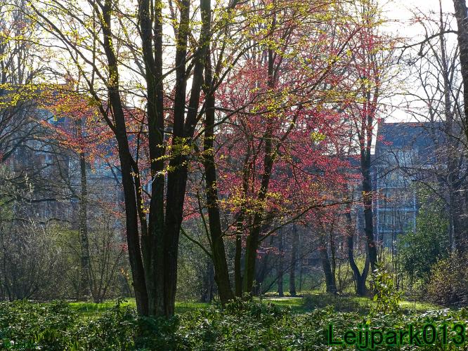 YoorsCoronaPositiveChallenge