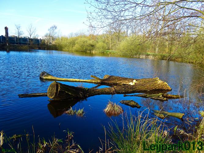 YoorsCoronaPositiveChallenge