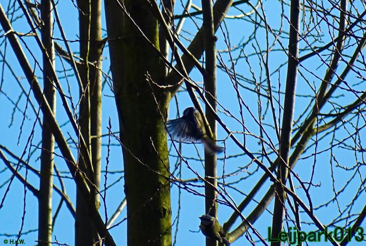 YoorsCoronaPositiveChallenge