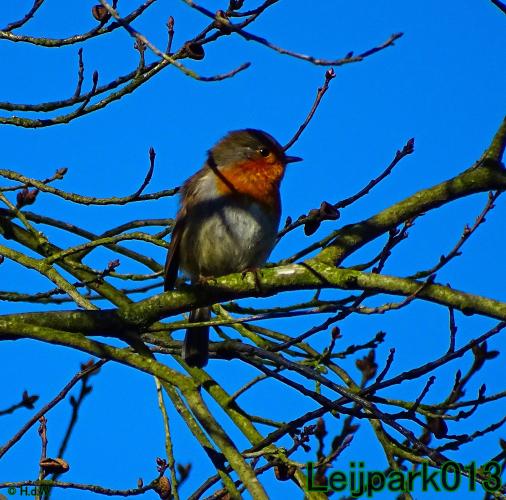 YoorsCoronaPositiveChallenge